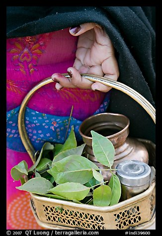 Basket with temple ritual offerings. Khajuraho, Madhya Pradesh, India