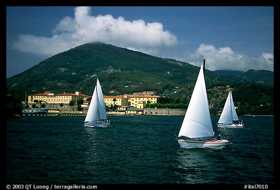 Sailboats cruising, La Spezia. Liguria, Italy