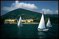Sailboats cruising, La Spezia. Liguria, Italy