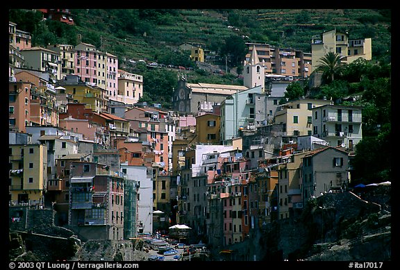 Jumble of houses, Riomaggiore. Cinque Terre, Liguria, Italy (color)