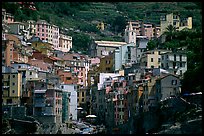 Jumble of houses, Riomaggiore. Cinque Terre, Liguria, Italy (color)