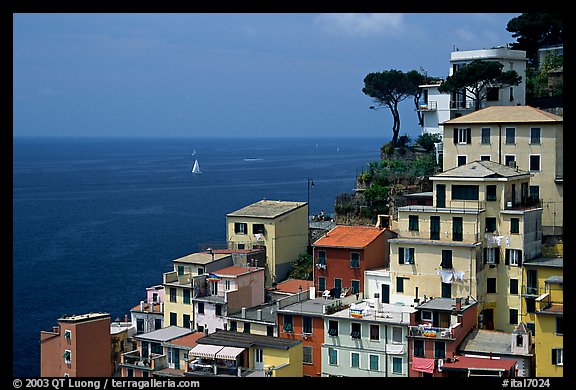 Houses built on the sides of steep hills overlook the Mediterranean, Riomaggiore. Cinque Terre, Liguria, Italy (color)