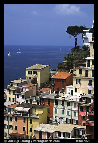 Houses built on the sides of a steep ravine overlook the Mediterranean, Riomaggiore. Cinque Terre, Liguria, Italy