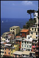 Houses built on the sides of a steep ravine overlook the Mediterranean, Riomaggiore. Cinque Terre, Liguria, Italy