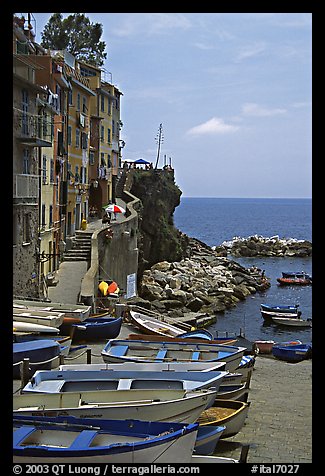 Fishing boats, harbor, and Mediterranean Sea, Riomaggiore. Cinque Terre, Liguria, Italy