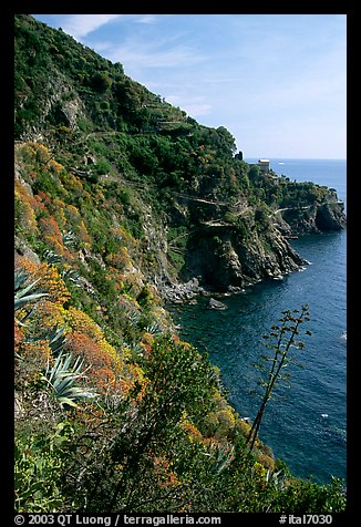 Coastline and cliffs along the Via dell'Amore (Lover's Lane), near Manarola. Cinque Terre, Liguria, Italy