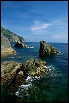 Mediterranean coastline and rocks near Manarola. Cinque Terre, Liguria, Italy (color)