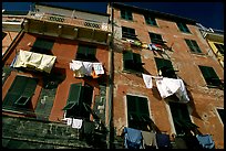 Typical terra cotta facade with clothelines and green shutters,  Vernazza. Cinque Terre, Liguria, Italy (color)