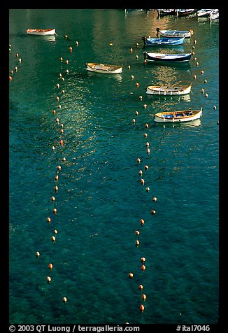 Buoy lines and fishing boats seen from above, Vernazza. Cinque Terre, Liguria, Italy (color)