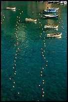 Buoy lines and fishing boats seen from above, Vernazza. Cinque Terre, Liguria, Italy