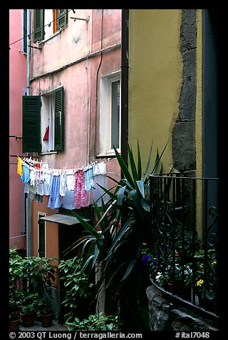 Courtyard, Vernazza. Cinque Terre, Liguria, Italy (color)