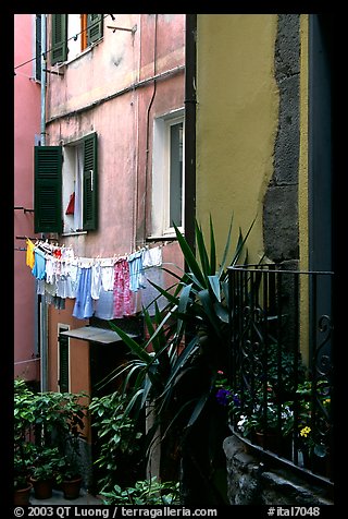 Courtyard, Vernazza. Cinque Terre, Liguria, Italy