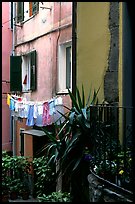 Courtyard, Vernazza. Cinque Terre, Liguria, Italy (color)