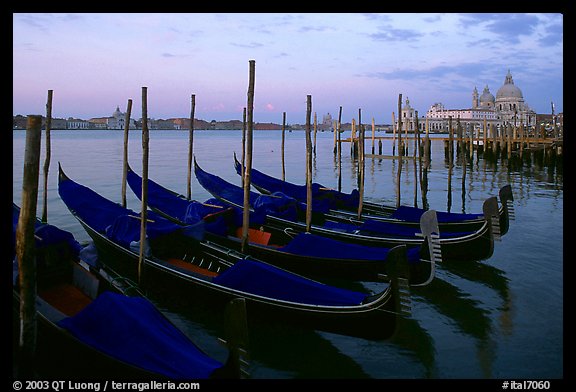 Gondolas, Canale della Guidecca, Santa Maria della Salute church at dawn. Venice, Veneto, Italy