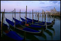 Gondolas, Canale della Guidecca, Santa Maria della Salute church at dawn. Venice, Veneto, Italy (color)