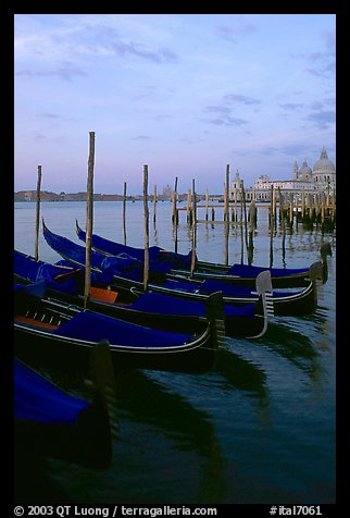 Parked gondolas, Canale della Guidecca, Santa Maria della Salute church at dawn. Venice, Veneto, Italy