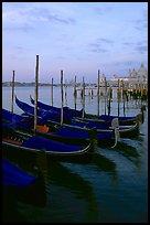Parked gondolas, Canale della Guidecca, Santa Maria della Salute church at dawn. Venice, Veneto, Italy (color)