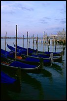 Parked gondolas, Canale della Guidecca, Santa Maria della Salute church at dawn. Venice, Veneto, Italy (color)