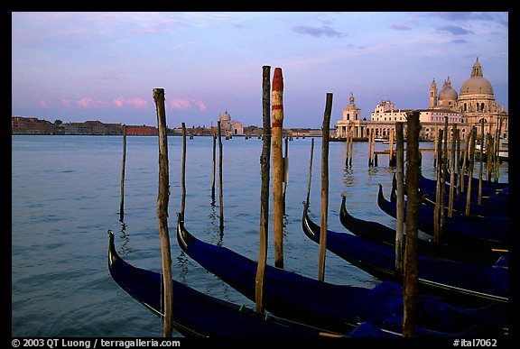 Moored Gondolas, Canale della Guidecca, Santa Maria della Salute church at sunrise. Venice, Veneto, Italy