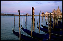 Moored Gondolas, Canale della Guidecca, Santa Maria della Salute church at sunrise. Venice, Veneto, Italy (color)