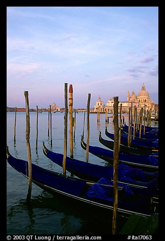 Parked gondolas, Canale della Guidecca, church Santa Maria della Salute, sunrise. Venice, Veneto, Italy (color)