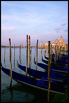 Parked gondolas, Canale della Guidecca, church Santa Maria della Salute, sunrise. Venice, Veneto, Italy (color)