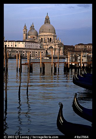 Moored gondolas, Canale della Guidecca, Santa Maria della Salute church at sunrise. Venice, Veneto, Italy