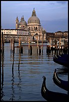 Moored gondolas, Canale della Guidecca, Santa Maria della Salute church at sunrise. Venice, Veneto, Italy (color)