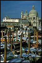 Water taxis and Santa Maria della Salute church, early morning. Venice, Veneto, Italy ( color)