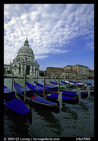 Gondolas, Grand Canal, Santa Maria della Salute church, morning. Venice, Veneto, Italy