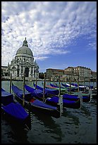 Gondolas, Grand Canal, Santa Maria della Salute church, morning. Venice, Veneto, Italy (color)