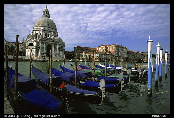 Gondolas, Grand Canal, Santa Maria della Salute church, morning. Venice, Veneto, Italy (color)