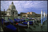 Gondolas, Grand Canal, Santa Maria della Salute church, morning. Venice, Veneto, Italy