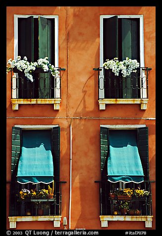 Windows, shutters, and flowers. Venice, Veneto, Italy