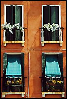 Windows, shutters, and flowers. Venice, Veneto, Italy (color)