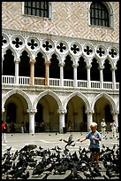 Boy feeding the pigeons in fron tof the Palazzo Ducale,  Piazza San Marco (Square Saint Mark), mid-day. Venice, Veneto, Italy ( color)