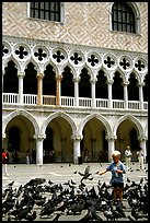 Boy feeding the pigeons in fron tof the Palazzo Ducale,  Piazza San Marco (Square Saint Mark), mid-day. Venice, Veneto, Italy