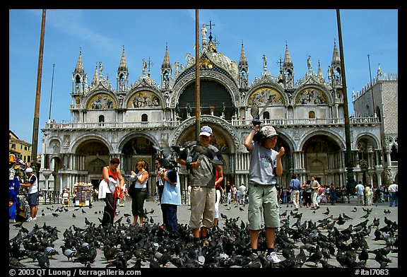 Children feeding flock of pigeon, in front of the Basilica San Marco, mid-day. Venice, Veneto, Italy