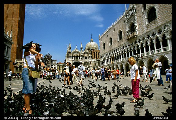Tourists feeding  pigeons, Piazzetta San Marco (Square Saint Mark), mid-day. Venice, Veneto, Italy