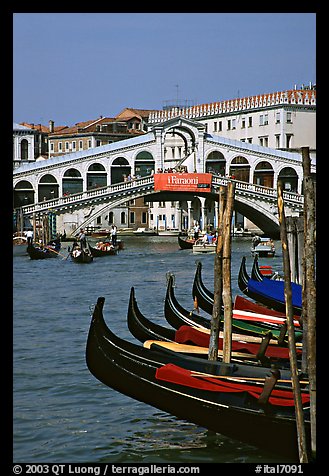 Gondolas and Rialto Bridge. Venice, Veneto, Italy