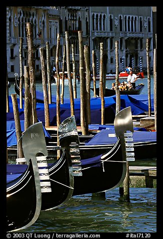 Gondolas prows, with their characteristic ferri. Venice, Veneto, Italy