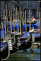 Gondolas prows, with their characteristic ferri. Venice, Veneto, Italy