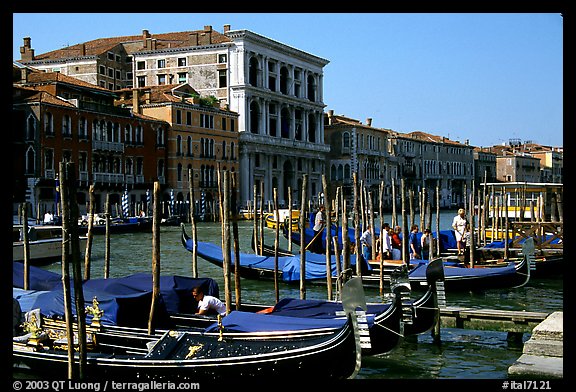 Parked gondolas on the the Grand Canal. Venice, Veneto, Italy