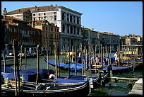 Parked gondolas on the the Grand Canal. Venice, Veneto, Italy ( color)