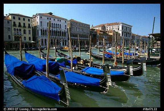 Row of gondolas covered with blue tarps, the Grand Canal. Venice, Veneto, Italy