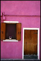 Door, window, pink-colored house,  Burano. Venice, Veneto, Italy