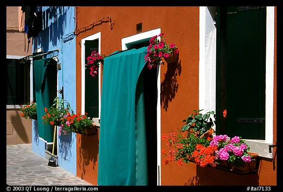 Multicolored houses and flowers,  Burano. Venice, Veneto, Italy