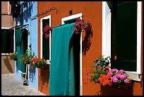 Multicolored houses and flowers,  Burano. Venice, Veneto, Italy
