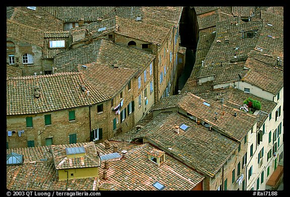 Rooftops seen from Torre del Mangia. Siena, Tuscany, Italy (color)