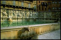 15th century Fonte Gaia (Gay Fountain) on Il Campo. Siena, Tuscany, Italy (color)